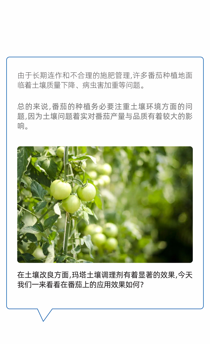20240615廈門瑪塔公眾號排版設(shè)計_01.jpg
